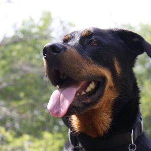 Meet your Posher, Bradley